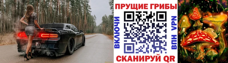 наркошоп  Пенза  Псилоцибиновые грибы ЛСД 